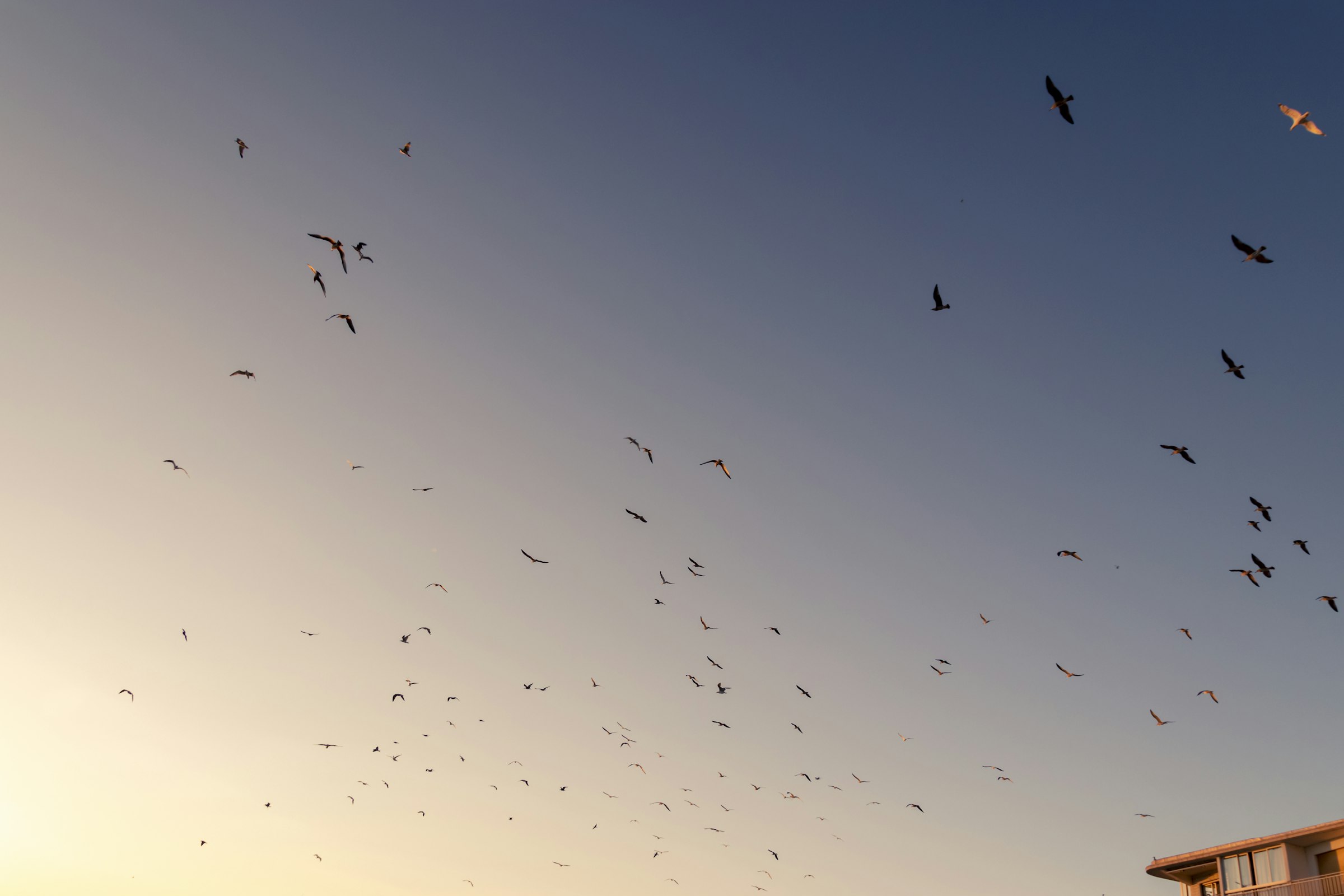 Dynamic workflows: parallel verification at scale