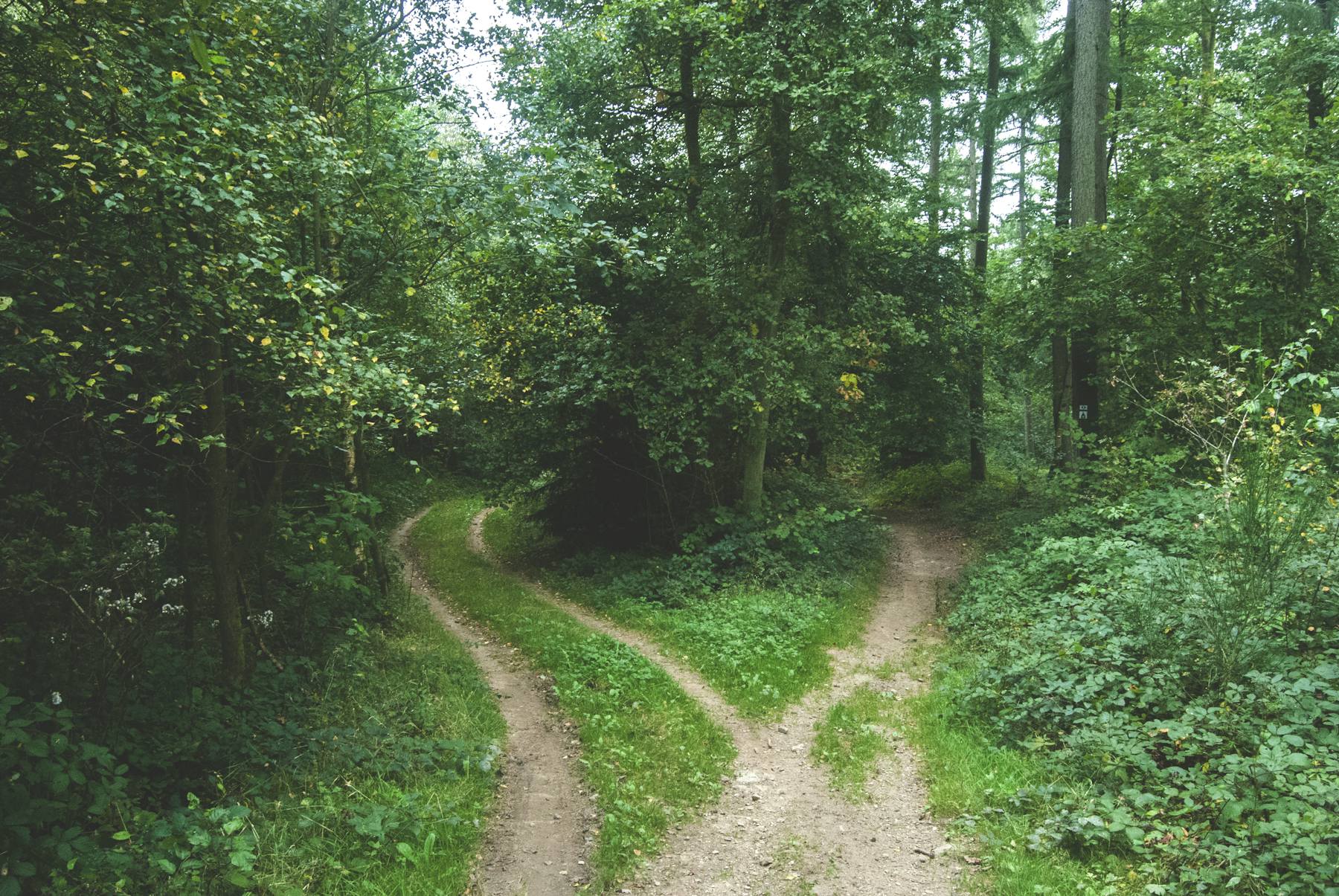 Claude certification vs the cloud AI certifications