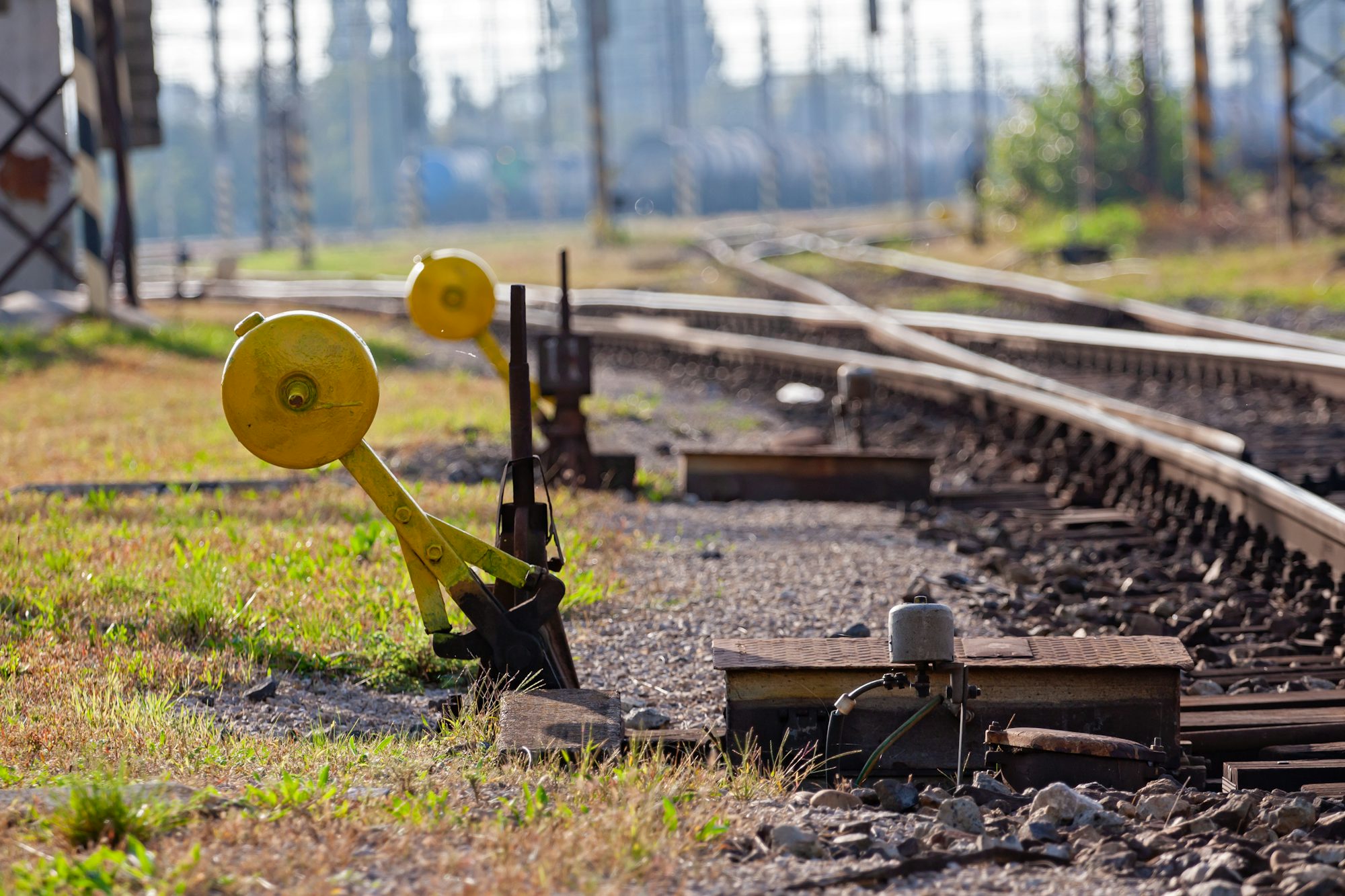 Self-hosted vs managed AI agents is a governance call